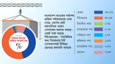 নিট পোশাকই টিকিয়ে রেখেছে রফতানি