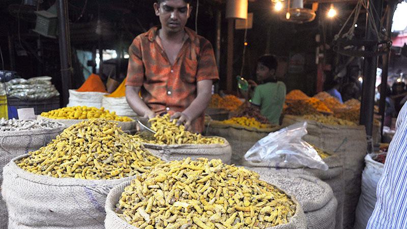 সাত মাসে প্রায় ১৫ হাজার টন শুকনা হলুদ আমদানি