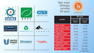 তালিকাভুক্ত বিদ্যুৎ কোম্পানির বিনিয়োগকারীদের ভবিষ্যৎ ঝুঁকিতে কি