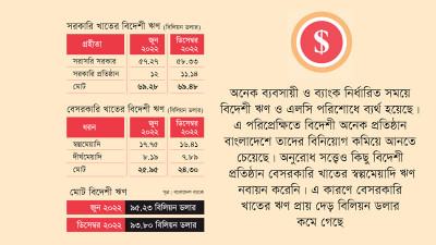 বেসরকারি খাতে বিদেশী ঋণ কমলেও বেড়েছে সরকারের