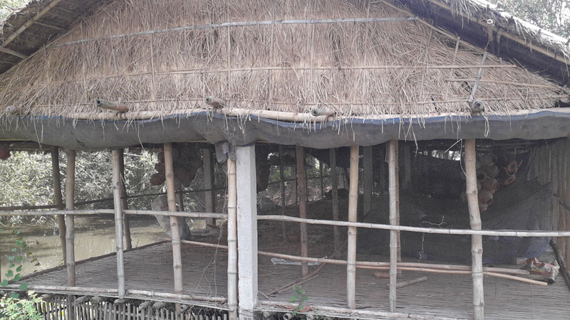 যশোরে ২ বছরে বন্ধ হয়েছে ১,৫৭৯টি মুরগি খামার