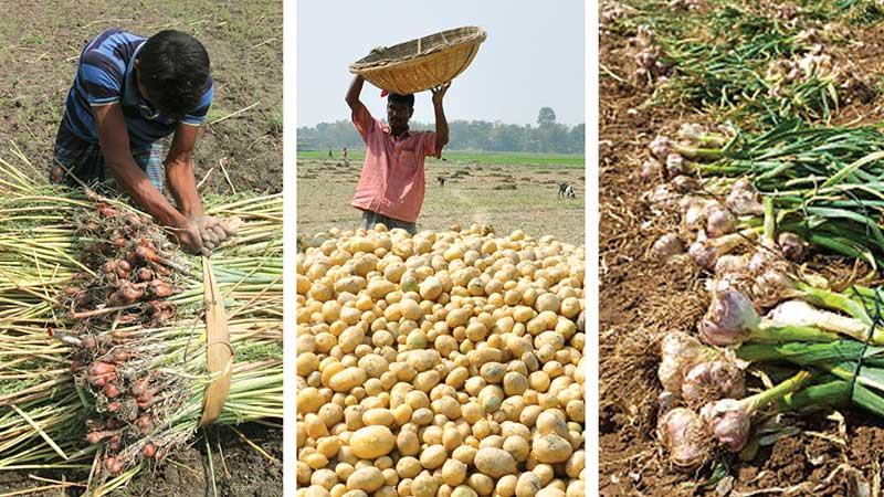 পেঁয়াজ রসুন আলুর দাম এখনো স্বস্তিতে