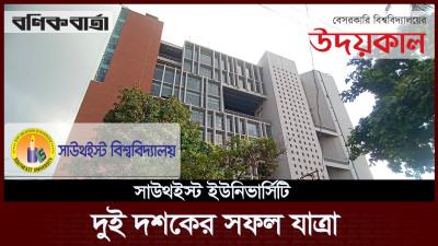 দুই দশকের সফল যাত্রা