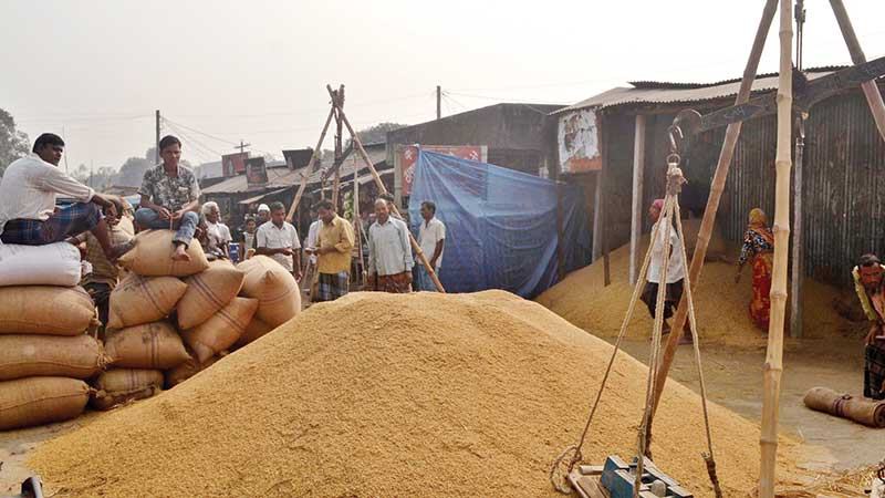 ধান-চাল সংগ্রহে এবারো ব্যর্থতা, কমছে চালের মজুদ