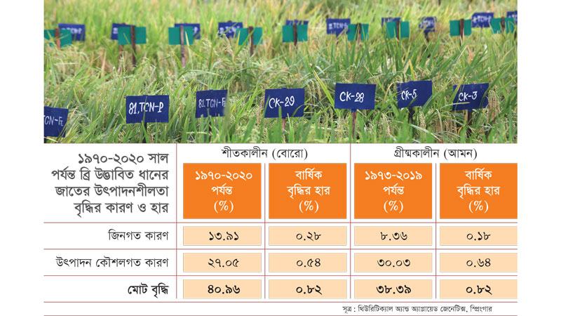জনসংখ্যার সঙ্গে সামঞ্জস্য রেখে বাড়ছে না ধানের উৎপাদনশীলতা