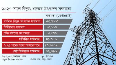 বিদ্যুতে ৩৭ হাজার মেগাওয়াট সক্ষমতা দিয়ে কী করবে বাংলাদেশ