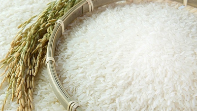 সুগন্ধি চালের আন্তর্জাতিক বাজার হারানোর শঙ্কা
