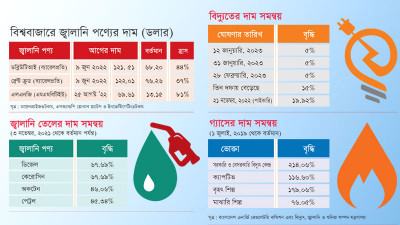 বিশ্ববাজারে তেল-গ্যাসের দাম কমার সুবিধা পাবে না দেশের ভোক্তারা