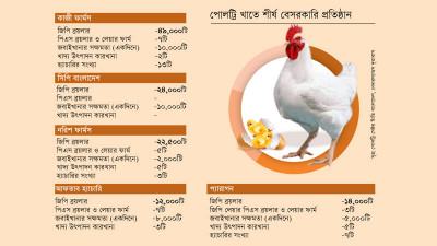 পোলট্রি খাতে কয়েকটি কোম্পানিই সর্বেসর্বা