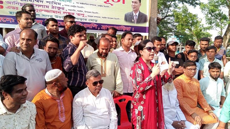 এ সরকারের অধীনে বিএনপি কোনো নির্বাচনে যাবে না: রুমিন ফারহানা