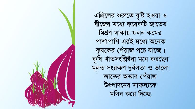 সংরক্ষণ দুর্বলতায় মলিন  উৎপাদনের সাফল্য