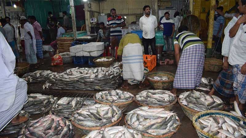 নিষেধাজ্ঞা শেষে ইলিশ ধরতে প্রস্তুত জেলেরা