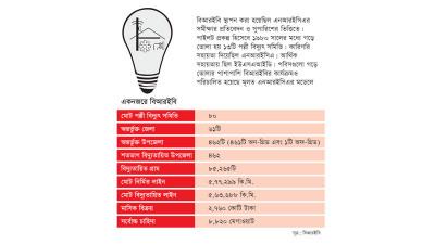 মার্কিন উদ্যোগের একটি সফল  রূপকল্প বাংলাদেশ পল্লী বিদ্যুৎ সমিতি