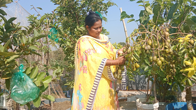 ছাদবাগান থেকে বছরে আয় লক্ষাধিক টাকা