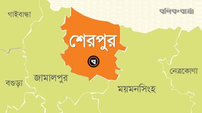 হাতি হত্যা