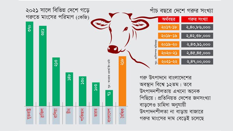 দীর্ঘমেয়াদি পরিকল্পনার সংকটে দেশে গরুর উৎপাদনশীলতা কম