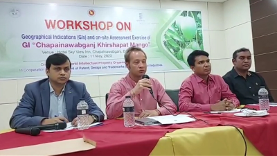 চাঁপাইনবাবগঞ্জে ক্ষীরশাপাতি আমের ব্র্যান্ডিং কর্মশালা