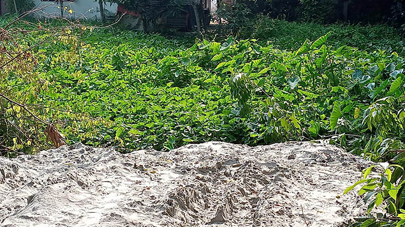 বরিশালে রাতের আঁধারে সরকারি পুকুর ভরাট