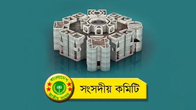 সংসদীয় কমিটিতে প্রত্নবস্তুর নিরাপত্তা নিয়ে উদ্বেগ