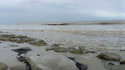 মোখার প্রভাবে কুয়াকাটা সংলগ্ন সাগর উত্তাল