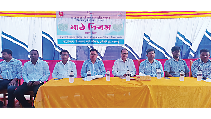 তেঁতুলিয়ায় তেলজাতীয় ফসলের মাঠ দিবস অনুষ্ঠিত
