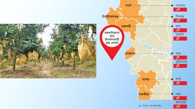 ২০ গুচ্ছ এলাকায় উৎপাদন হচ্ছে রফতানিযোগ্য আম