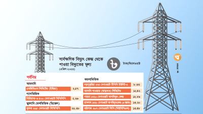 সার্বক্ষণিক উৎপাদনের সবচেয়ে সুলভ বিদ্যুৎ মিলছে ভারতের এনভিভিএন থেকে