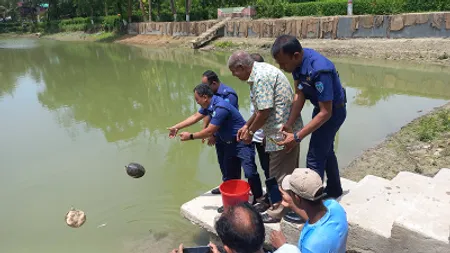 ফেনীতে ১০৮টি কচ্ছপ উদ্ধার ইকোপার্কে অবমুক্ত