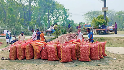 ফরিদপুরে কমতে শুরু করেছে পেঁয়াজের দাম
