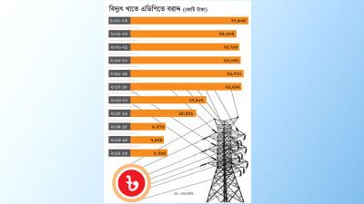 বাংলাদেশে বিদ্যুৎ কেন্দ্রের নির্মাণ ব্যয় এত বেশি কেন