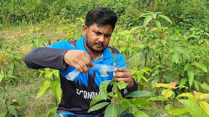 পরিবেশ ও ক্যাম্পাসের ভালোবাসায় সজীবের ‘‌প্রজেক্ট ১৭৫’