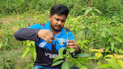 পরিবেশ ও ক্যাম্পাসের ভালোবাসায় সজীবের ‘‌প্রজেক্ট ১৭৫’