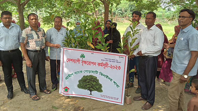 ঝিনাইদহে দেড় লাখ গাছের চারা বিতরণ