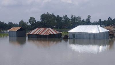 কুড়িগ্রামে পানিবন্দি ১২ হাজার পরিবার