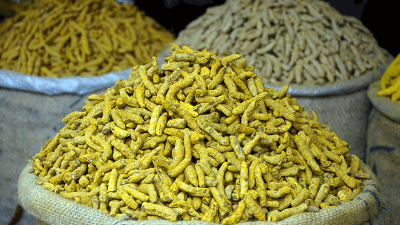 ভোমরা বন্দর দিয়ে শুকনা হলুদ আমদানি বেড়েছে