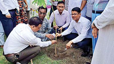 বাগেরহাটে সড়কের সৌন্দর্যবর্ধনে বৃক্ষরোপণ