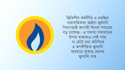 অর্থনীতির সবচেয়ে বড় চ্যালেঞ্জ এখন জ্বালানি নিরাপত্তা