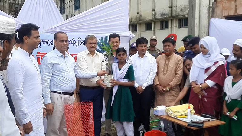 আশুগঞ্জের স্কুল-কলেজে এক লাখ গাছের চারা বিতরণ