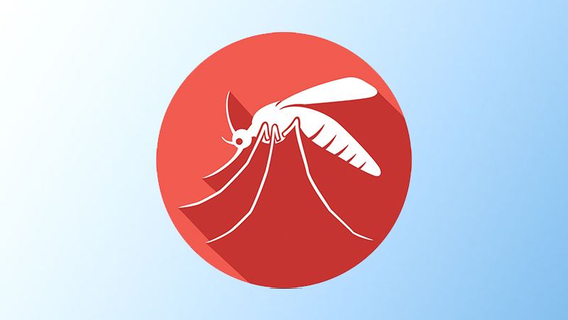 অতিরিক্ত কীটনাশকে বদলে যাচ্ছে এডিস মশার আচরণ
