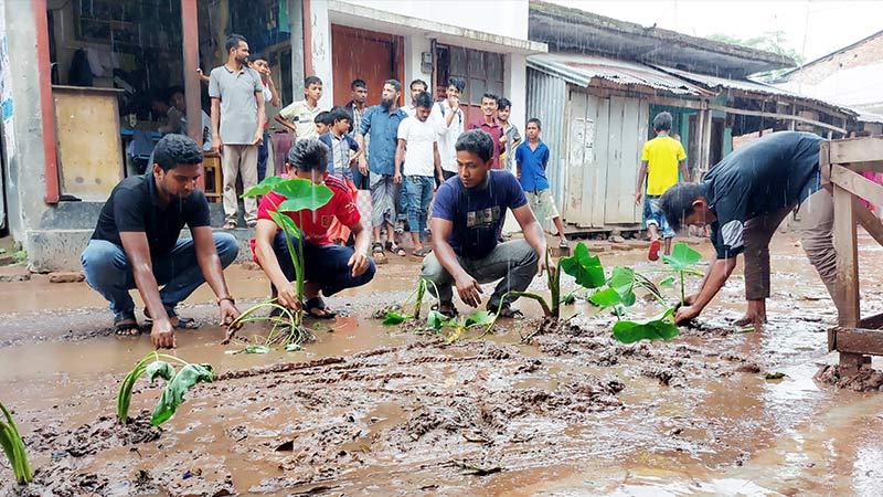 ঝালকাঠিতে রাস্তা সংস্কারের দাবিতে কচুগাছ লাগিয়ে প্রতিবাদ
