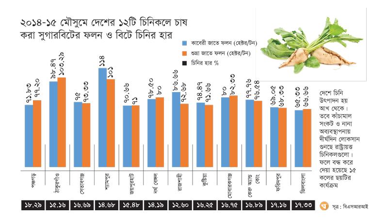 গবেষণায় সুফল মিললেও সম্প্রসারণ হয়নি সুগারবিট