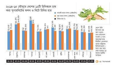 গবেষণায় সুফল মিললেও সম্প্রসারণ হয়নি সুগারবিট