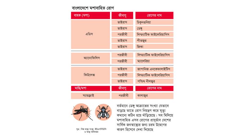 জনস্বাস্থ্যের জন্য সবচেয়ে বড় হুমকি মশাবাহিত রোগ?