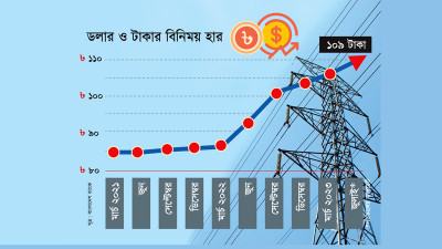 আইপিপি থেকে ডলারে বিদ্যুৎ ক্রয় বিপিডিবির আত্মঘাতী পথ