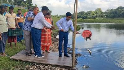 মেহেরপুরে পেন কালচার পদ্ধতিতে মাছ চাষ উদ্বোধন