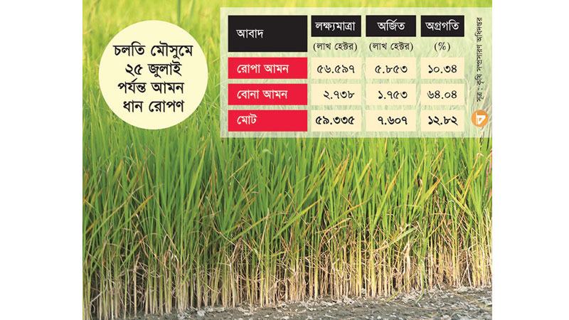 আমনের উৎপাদন খরচ বাড়বে সেচ, সার ও কীটনাশকে