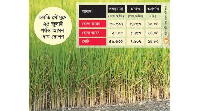 আমনের উৎপাদন খরচ বাড়বে সেচ, সার ও কীটনাশকে