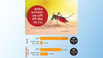 ঢাকার বাইরে ডেঙ্গু রোগীর সংখ্যা বাড়ছে আড়াই গুণ দ্রুতগতিতে