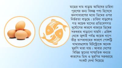 মাছের মূল্যবৃদ্ধিতে দাম বেড়েছে ডিমের