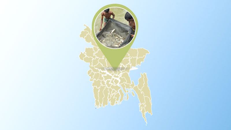 জলবায়ু পরিবর্তনের নেতিবাচক প্রভাব পড়ছে মাছের উৎপাদনে